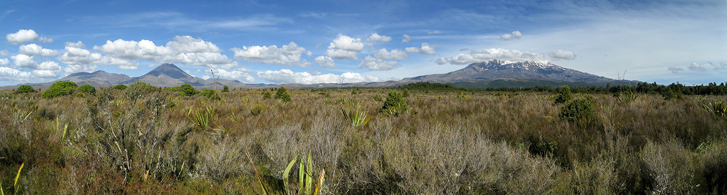 Tongariro National Park Panorama