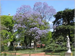 Parks Buenos Aires