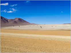 Desierto Siloli de Dali
