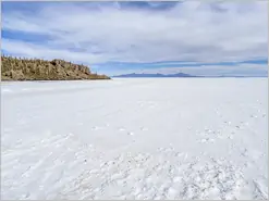 Salar de Uyuni Isla Incahuasi