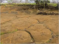 Big Island Puako Petroglyph Preserve