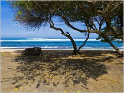 Maui Ho okipa Surf Beach