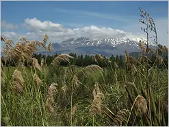 Tongariro National Park Mount Ruapehu
