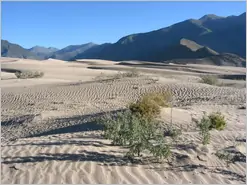 Zetang Samye Sand Dunes